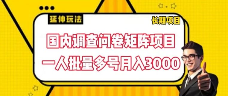 国内调查问卷矩阵项目，一人批量多号月入3000【揭秘】-天孤无涯网