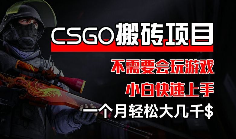 CSGO 装备搬砖项目，操作简单，不需要会玩游戏，小白也能快速上手，一个月轻松大几千【揭秘】-天孤无涯网