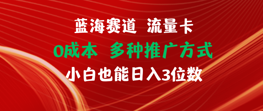 （11768期）蓝海赛道 流量卡 0成本 小白也能日入三位数-天孤无涯网