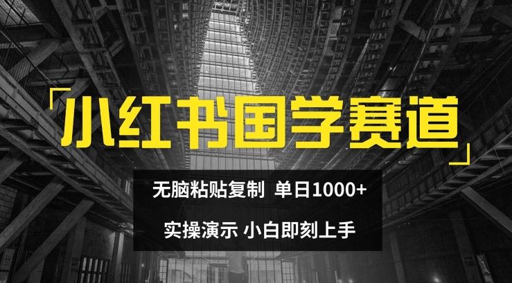 小红书国学赛道，无脑粘贴复制，单日1K，实操演示，小白即刻上手【揭秘】-天孤无涯网