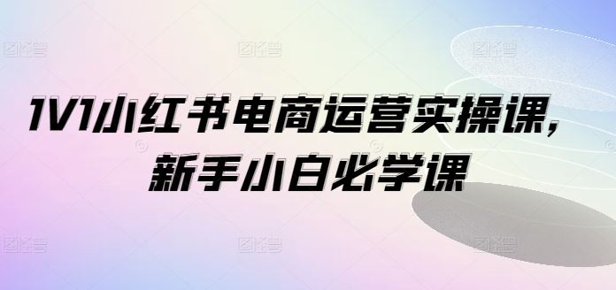 1V1小红书电商运营实操课，新手小白必学课-天孤无涯网