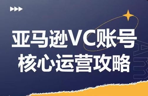 亚马逊VC账号核心玩法解析，实战经验拆解产品模块运营技巧，提升店铺GMV，有效提升运营利润-天孤无涯网