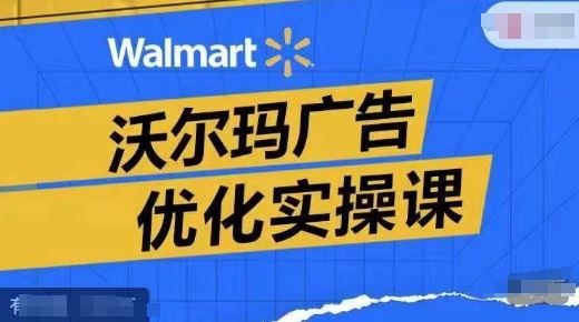 沃尔玛广告优化实操课，广告报告实操讲解，广告如何提高转化和ROAS等-天孤无涯网