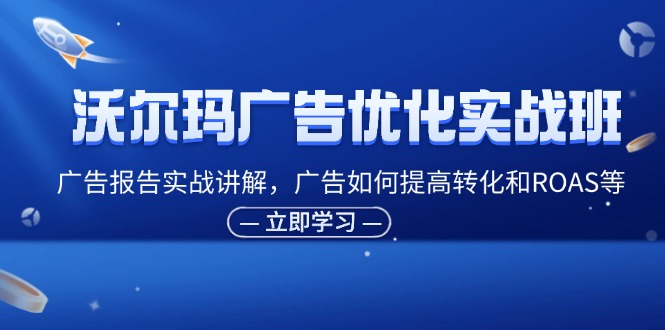 （11847期）沃尔玛广告优化实战班，广告报告实战讲解，广告如何提高转化和ROAS等-天孤无涯网