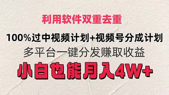 （11862期）利用软件双重去重，100%过中视频+视频号分成计划小白也可以月入4W+-天孤无涯网