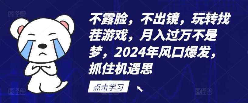 不露脸，不出镜，玩转找茬游戏，月入过万不是梦，2024年风口爆发，抓住机遇【揭秘】-天孤无涯网