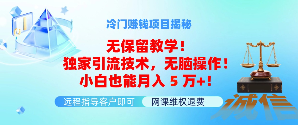 （11864期）冷门赚钱项目无保留教学！独家引流技术，无脑操作！小白也能月入5万+！-天孤无涯网