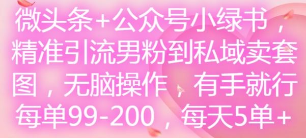 微头条+公众号小绿书，精准引流男粉到私域卖套图，无脑操作，有手就行，每单99-200，每天5单-天孤无涯网