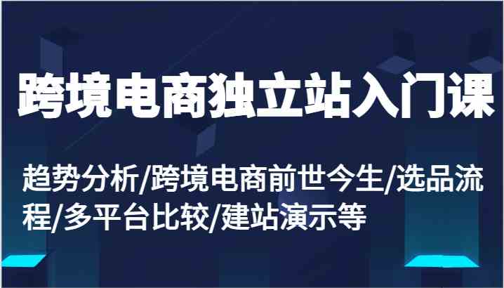 跨境电商独立站入门课：趋势分析/跨境电商前世今生/选品流程/多平台比较/建站演示等-天孤无涯网