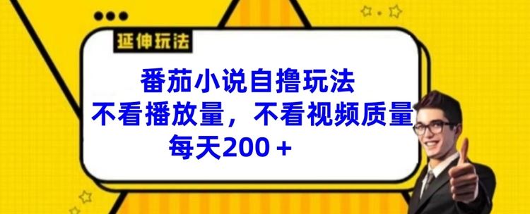 番茄小说自撸玩法，不看播放量，不看视频质量，每天200+【揭秘】-天孤无涯网