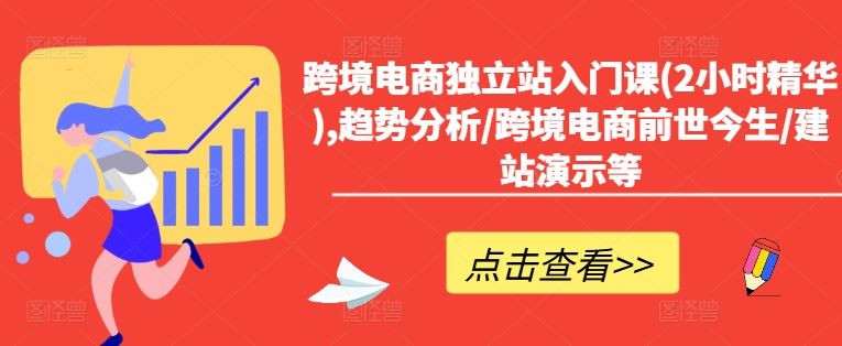 跨境电商独立站入门课(2小时精华),趋势分析/跨境电商前世今生/建站演示等-天孤无涯网