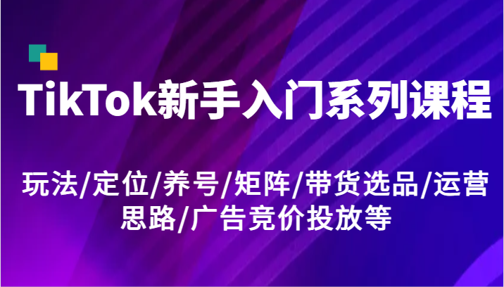 TikTok新手入门系列课程，玩法/定位/养号/矩阵/带货选品/运营思路/广告竞价投放等-天孤无涯网