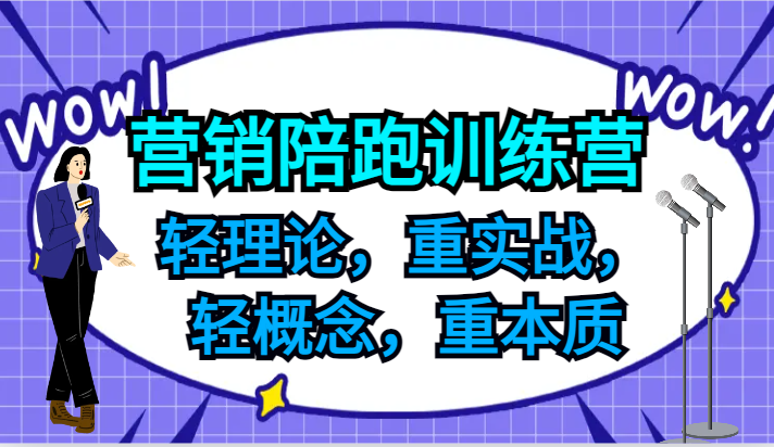 营销陪跑训练营，轻理论，重实战，轻概念，重本质，适合中小企业和初创企业的老板-天孤无涯网