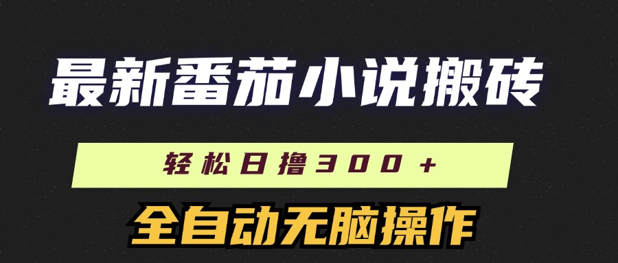 （11904期）最新番茄小说搬砖，日撸300＋！全自动操作，可矩阵放大-天孤无涯网