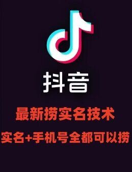 最新技术抖音捞实名+捞手机号技术，抖音直播封禁释放十名/手机号，直接替换出来!-天孤无涯网