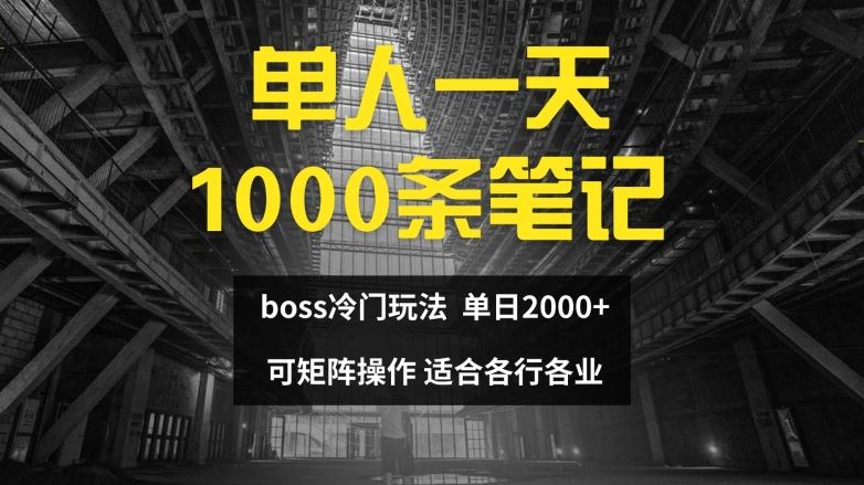 单人一天1000条笔记，日入2000+，BOSS直聘的正确玩法【揭秘】-天孤无涯网