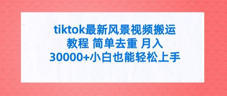 tiktok最新风景视频搬运教程 简单去重 月入3W+小白也能轻松上手【揭秘】-天孤无涯网