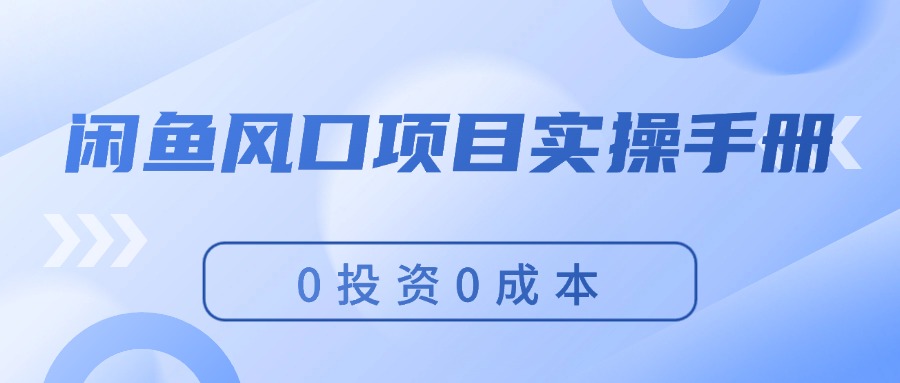 （11923期）闲鱼风口项目实操手册，0投资0成本，让你做到，月入过万，新手可做-天孤无涯网
