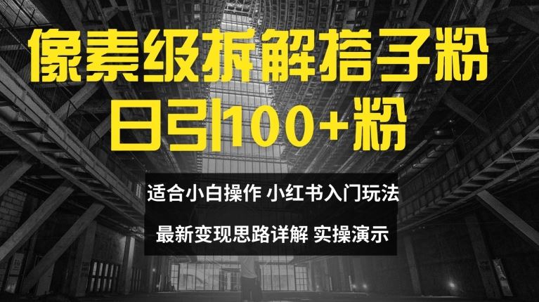 像素级拆解搭子粉，日引100+，小白看完可上手，最新变现思路详解【揭秘】-天孤无涯网