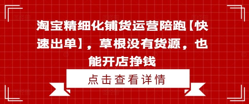 淘宝精细化铺货运营陪跑【快速出单】，草根没有货源，也能开店挣钱-天孤无涯网