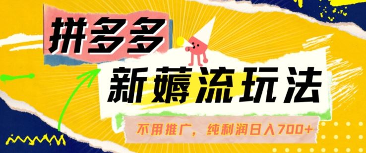 拼多多最新薅流玩法，无需开车推广，纯靠自然流吃饭-单纯赚50+利润，日入700+【揭秘】-天孤无涯网