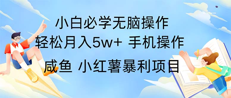 （11953期）2024热门暴利手机操作项目，简单无脑操作，每单利润最少500-天孤无涯网