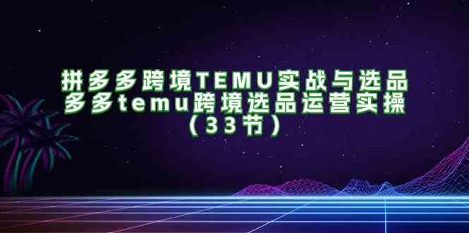 拼多多跨境TEMU实战与选品，多多temu跨境选品运营实操（33节）-天孤无涯网