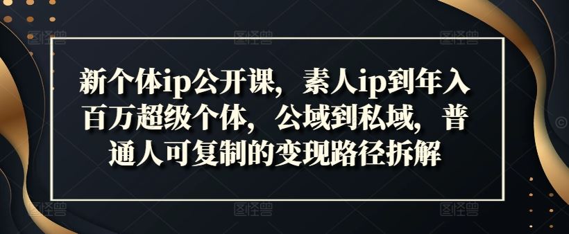 新个体ip公开课，素人ip到年入百万超级个体，公域到私域，普通人可复制的变现路径拆解-天孤无涯网