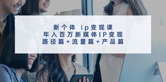 （11971期）新个体 ip变现课，年入百万新媒体IP变现，路径篇+流量篇+产品篇-天孤无涯网