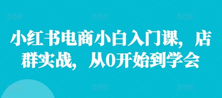 小红书电商小白入门课，店群实战，从0开始到学会-天孤无涯网