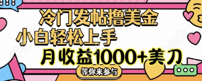 冷门发帖撸美金项目，月收益1000+美金，简单无脑，干就完了【揭秘】-天孤无涯网