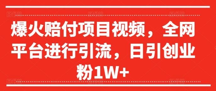 爆火赔付项目视频，全网平台进行引流，日引创业粉1W+【揭秘】-天孤无涯网