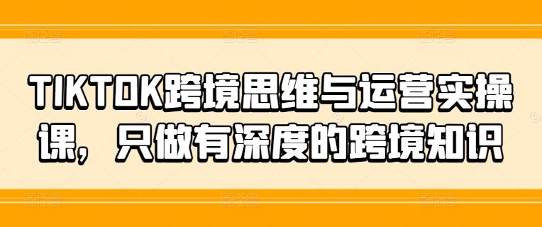 TIKTOK跨境思维与运营实操课，只做有深度的跨境知识-天孤无涯网
