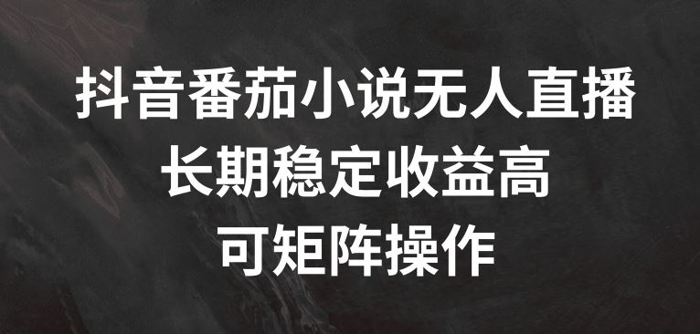 抖音番茄小说无人直播，长期稳定收益高，可矩阵操作【揭秘】-天孤无涯网
