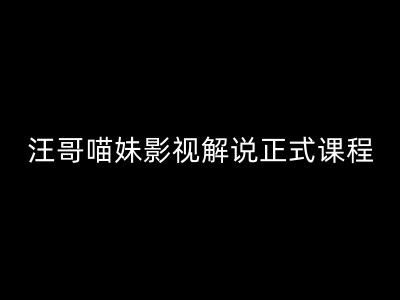 汪哥影视解说正式课程：剪映/PR教学/视解说剪辑5大黄金法则/全流程剪辑7把利器等等-天孤无涯网