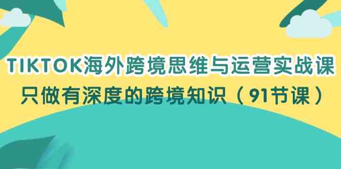 TIKTOK海外跨境思维与运营实战课，只做有深度的跨境知识（91节课）-天孤无涯网