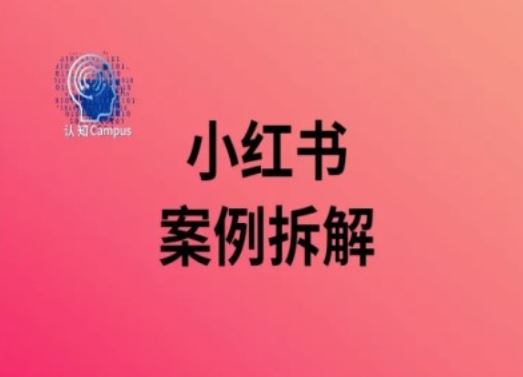 小红书案例拆解，深度解读小红书40万粉-天孤无涯网