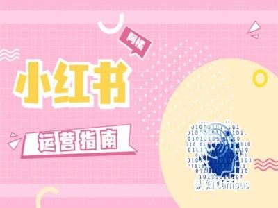 小红书运营指南，没有套路，全是经验-天孤无涯网
