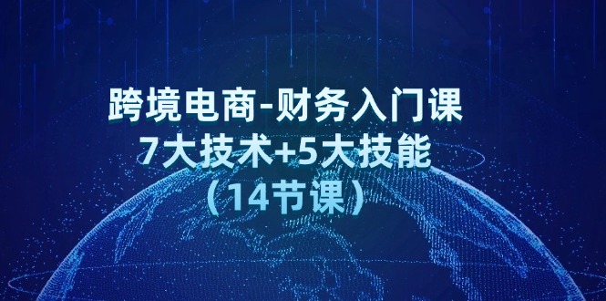 （12047期）跨境电商-财务入门课：7大技术+5大技能（14节课）-天孤无涯网
