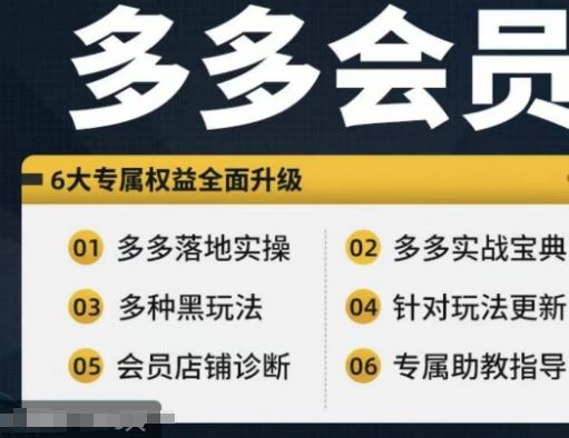 拼多多会员，拼多多实战宝典+实战落地实操，从新手到高阶内容全面覆盖-天孤无涯网
