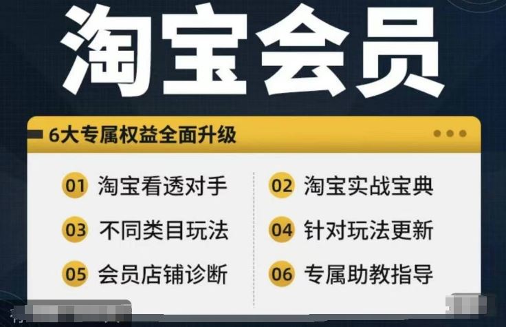淘宝会员【淘宝所有课程，全面分析对手】，初级到高手全系实战宝典-天孤无涯网
