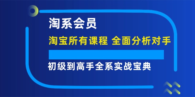 （12055期）淘系会员【淘宝所有课程，全面分析对手】，初级到高手全系实战宝典-天孤无涯网