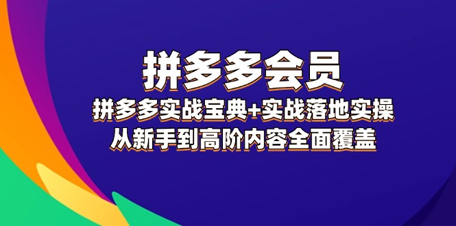 （12056期）拼多多 会员，拼多多实战宝典+实战落地实操，从新手到高阶内容全面覆盖-天孤无涯网