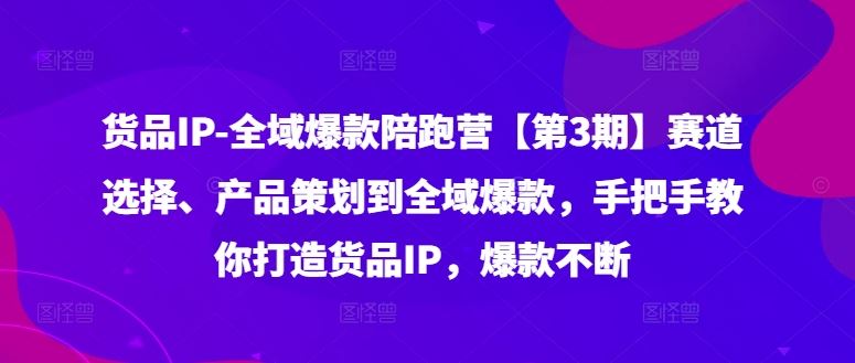 货品IP全域爆款陪跑营【第3期】赛道选择、产品策划到全域爆款，手把手教你打造货品IP，爆款不断-天孤无涯网