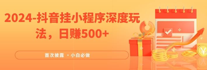 2024全网首次披露，抖音挂小程序深度玩法，日赚500+，简单、稳定，带渠道收入，小白必做【揭秘】-天孤无涯网
