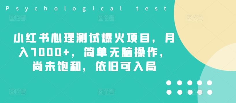 小红书心理测试爆火项目，月入7000+，简单无脑操作，尚未饱和，依旧可入局-天孤无涯网