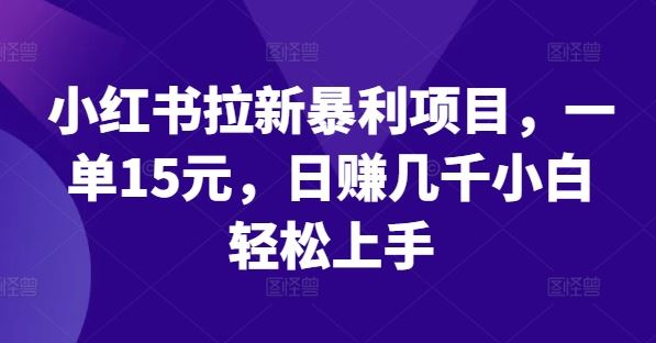 小红书拉新暴利项目，一单15元，日赚几千小白轻松上手【揭秘】-天孤无涯网
