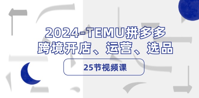 （12106期）2024-TEMU拼多多·跨境开店、运营、选品（25节视频课）-天孤无涯网