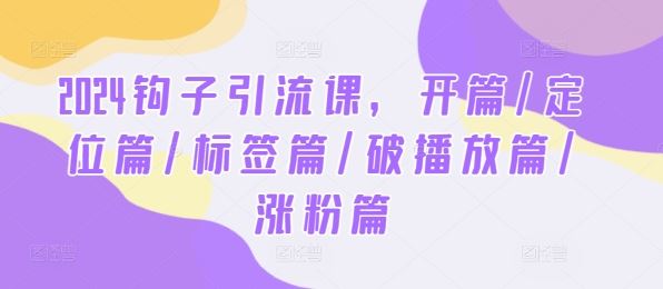 2024钩子引流课，开篇/定位篇/标签篇/破播放篇/涨粉篇-天孤无涯网