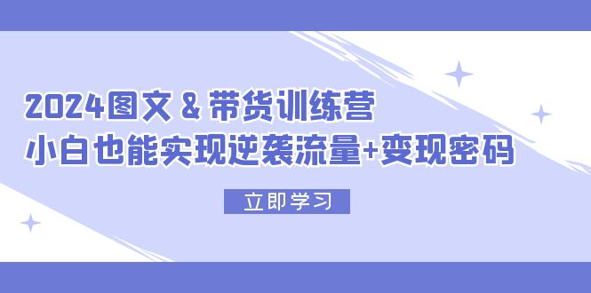 （12137期）2024 图文+带货训练营，小白也能实现逆袭流量+变现密码-天孤无涯网